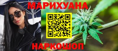 прущие грибы Новодвинск