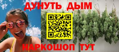 прущие грибы Новодвинск