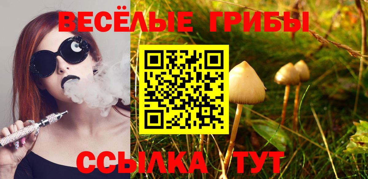 Псилоцибиновые грибы GOLDEN TEACHER  Вход с VPN  Галлюциногенные грибы ЛСД  Томск 