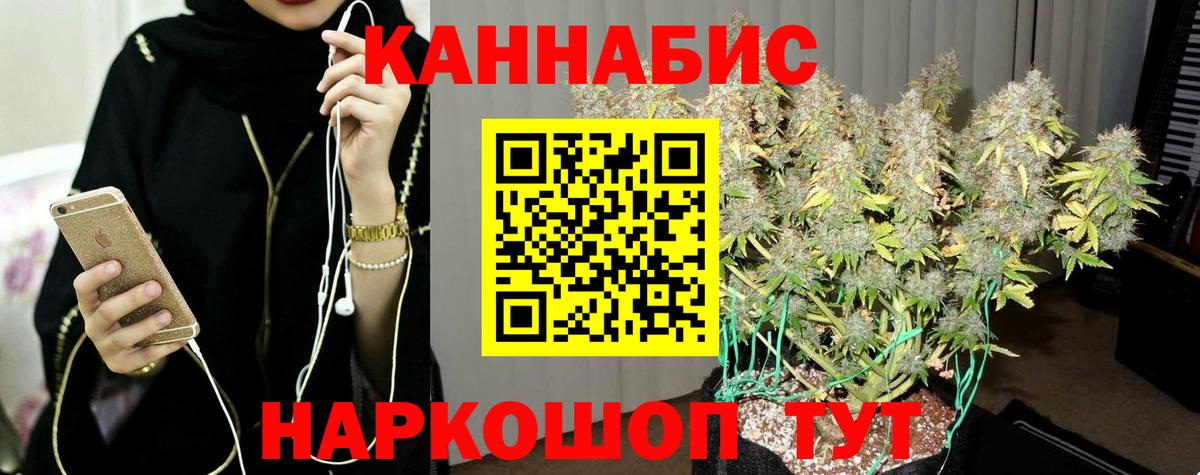 Шишки марихуана MAZAR  Вход с VPN  Конопля сатива  Марихуана MAZAR  Каннабис планчик  Томск 